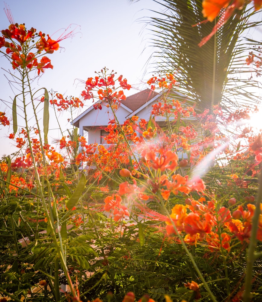 Azao Resort & Spa, Zanzibar 30/50
