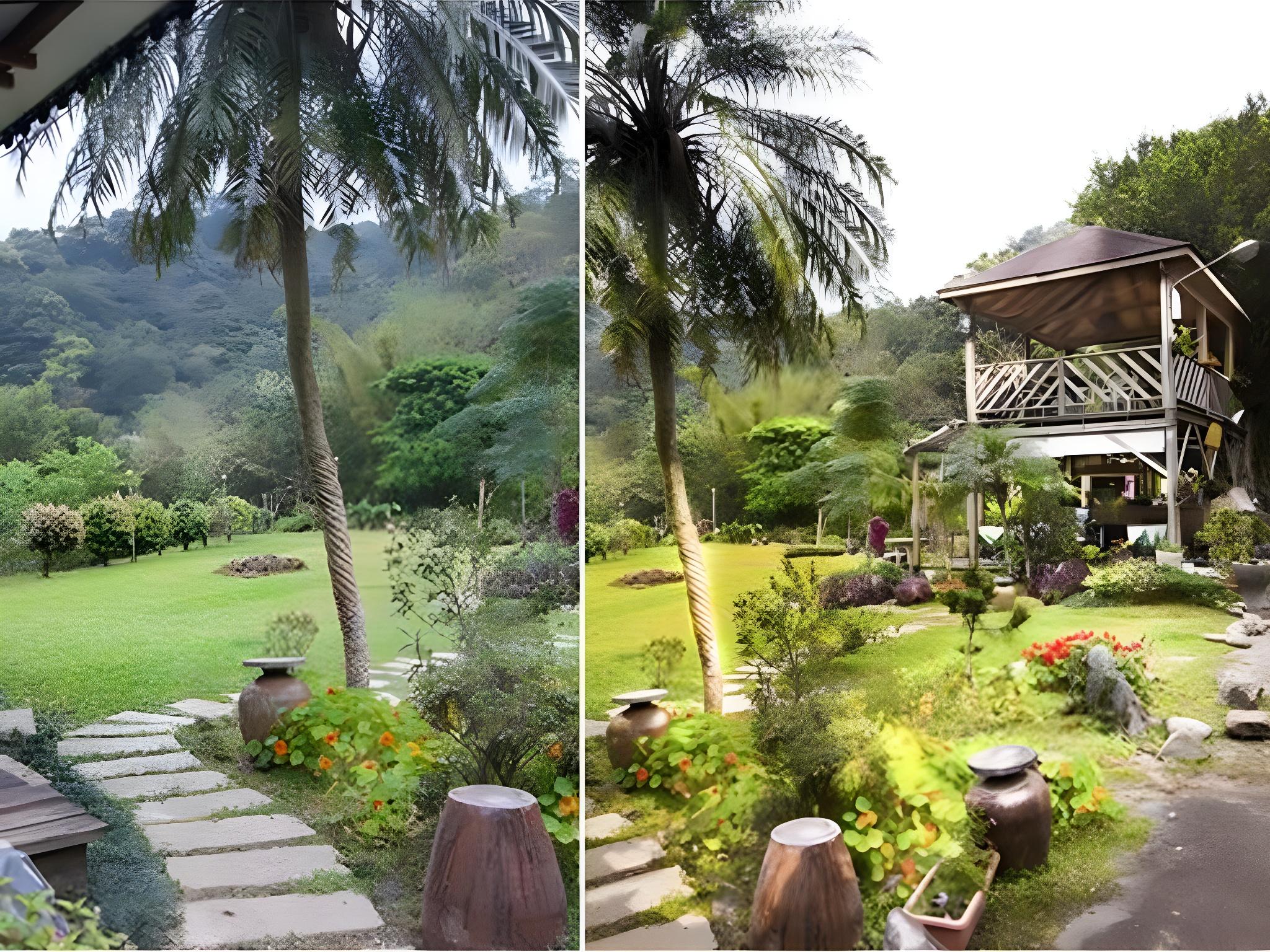 Reishi Expert B&amp;B 23/26