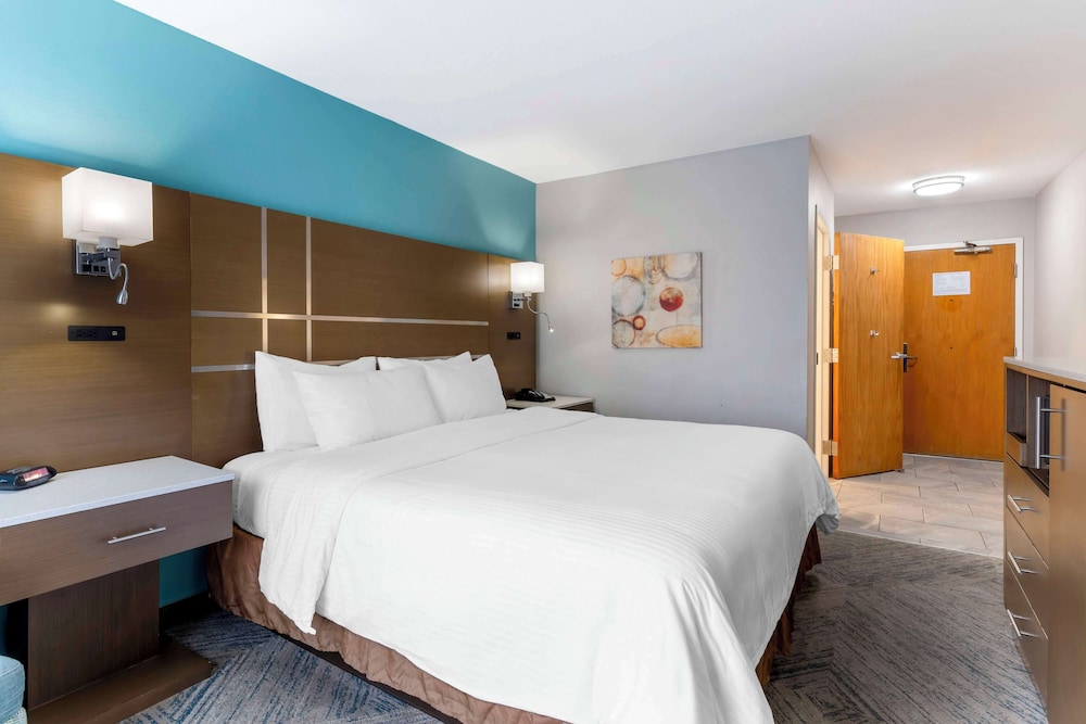 Standard, King Bed, Accessible