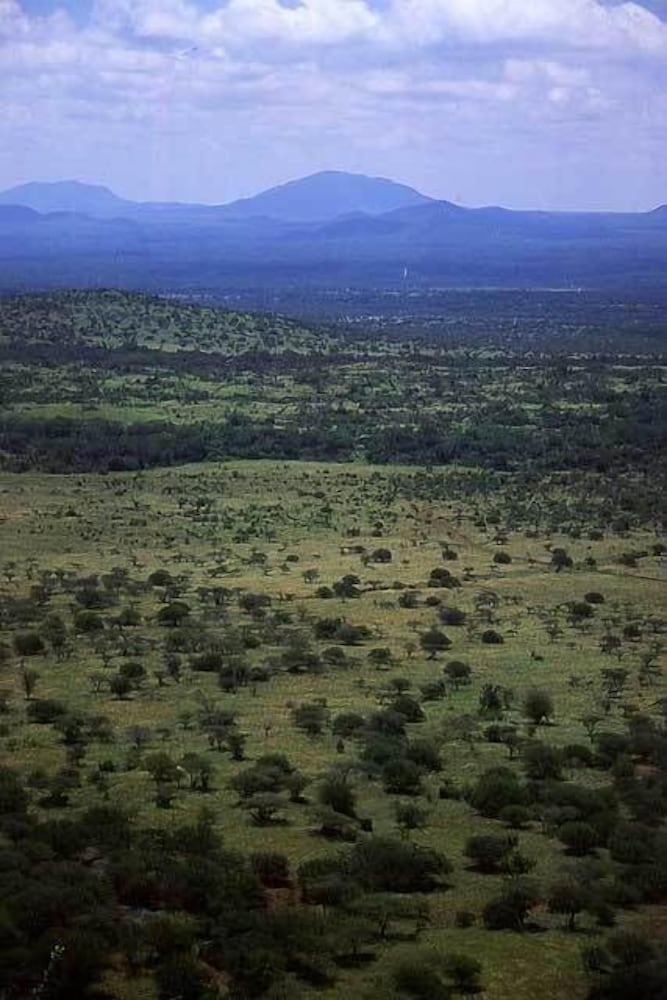 Voyager Ziwani Tented Camp 26/43
