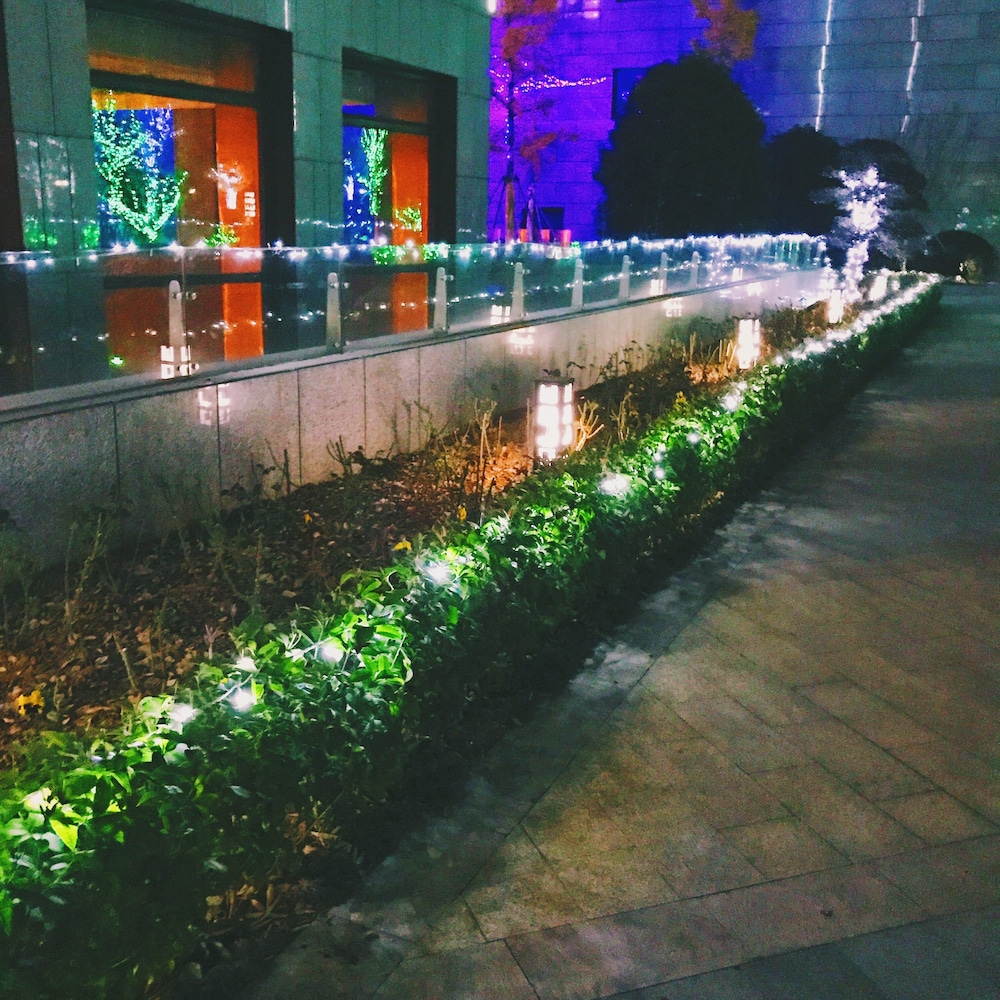Wojo Hotel 45/50