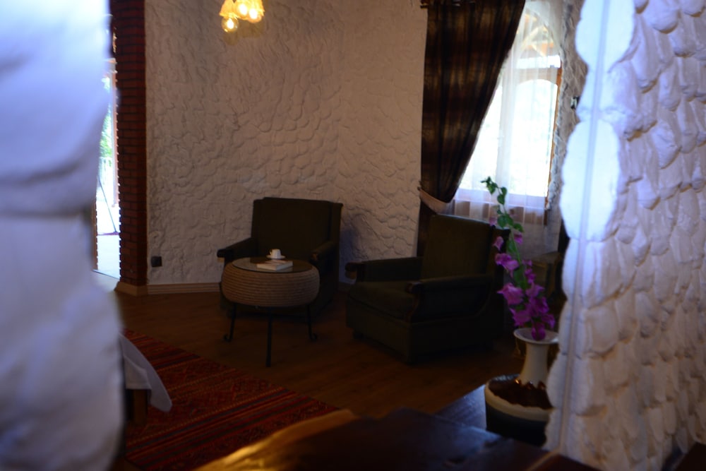 Tlos Butik Otel 31/50