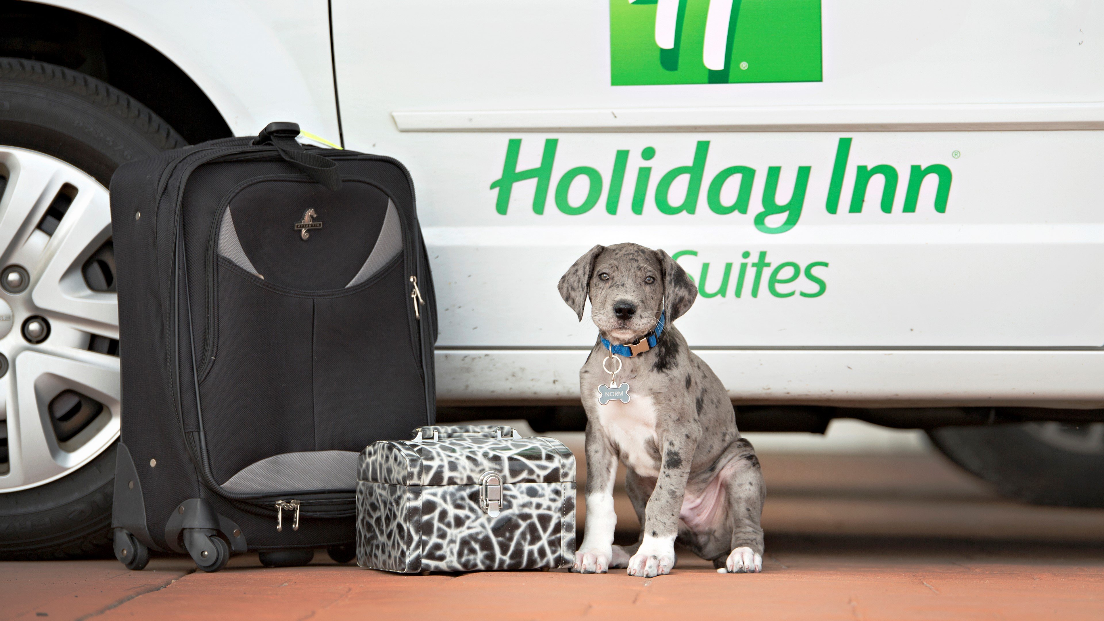 Holiday Inn Hotel Suites Bloomington Airport 18/50