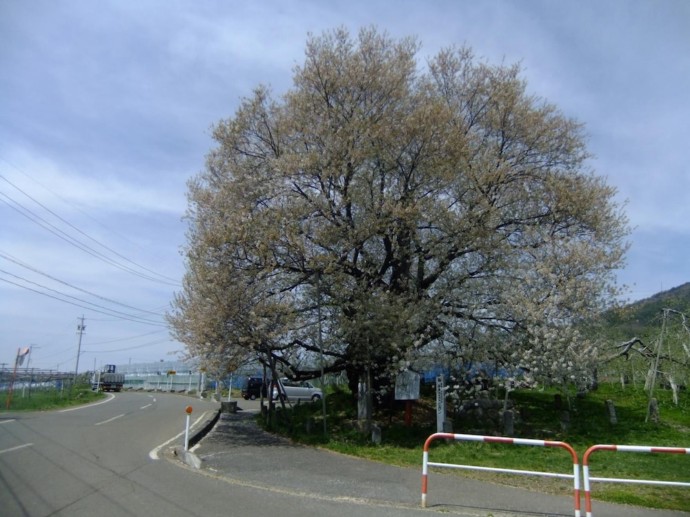 Shiga Park Hotel 47/63