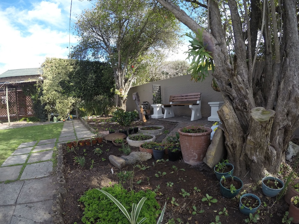 Selborne Bed And Breakfast 41/50