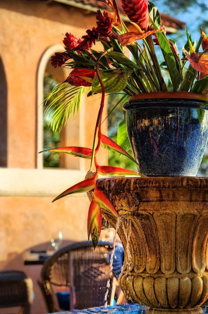 Little Arches Boutique Hotel Barbados 15/50