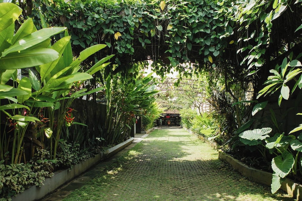 White Lotus Villa 41/50