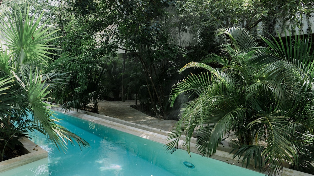 Copal Tulum Hotel 43/50