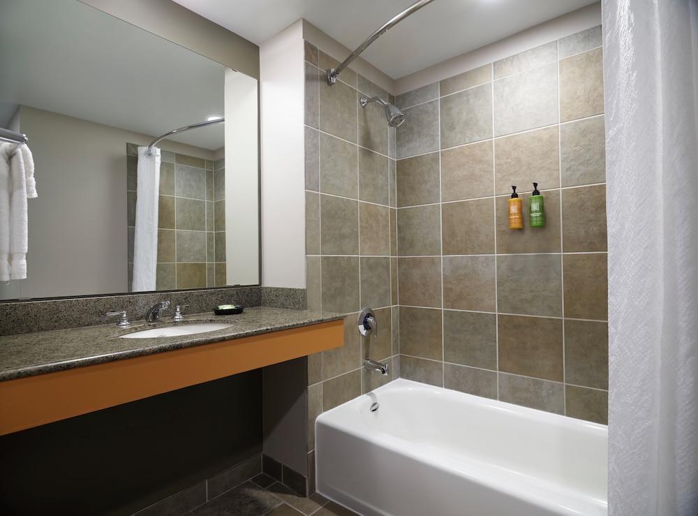 Park, Water, Family, Studio, Suite, 2 Queen Beds, Sofa، Great Wolf Lodge Bloomington 3/4