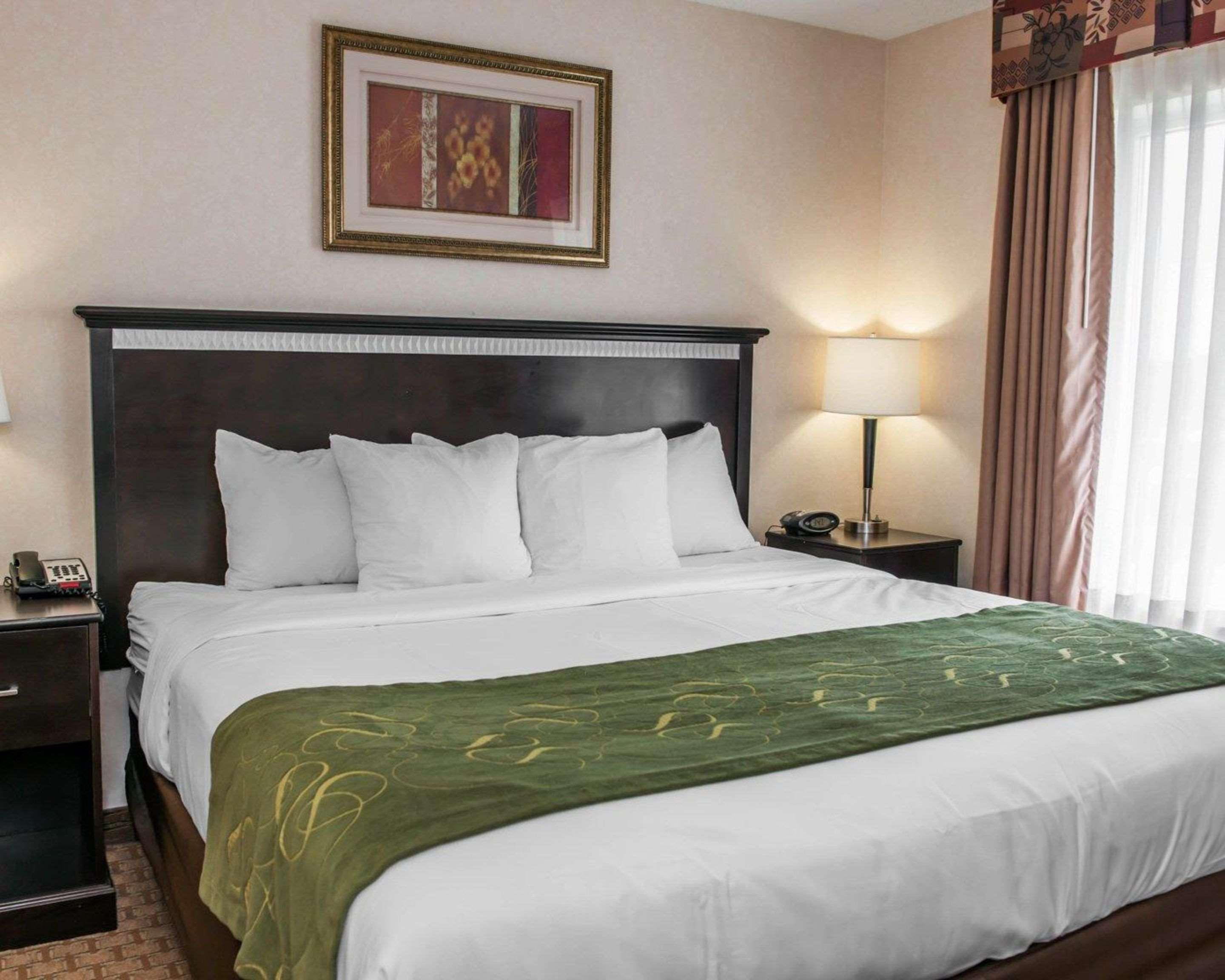 SUITE, KING BED, ACCESSIBLE