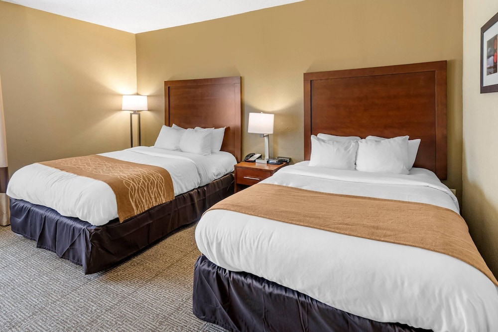 Comfort Inn and Suites Lincoln AL 16/61