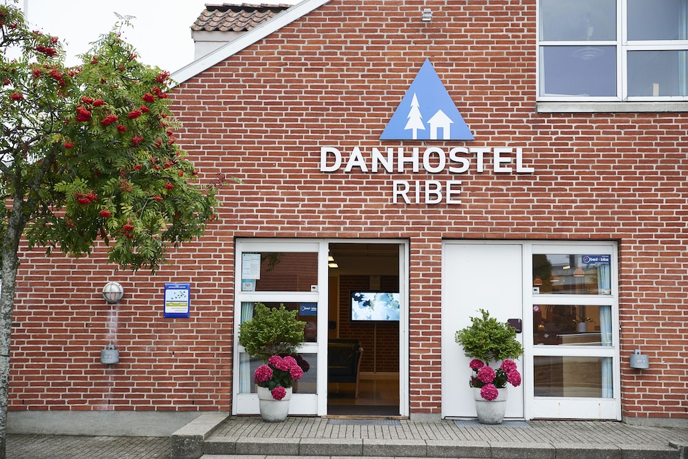 Danhostel Ribe 1/24