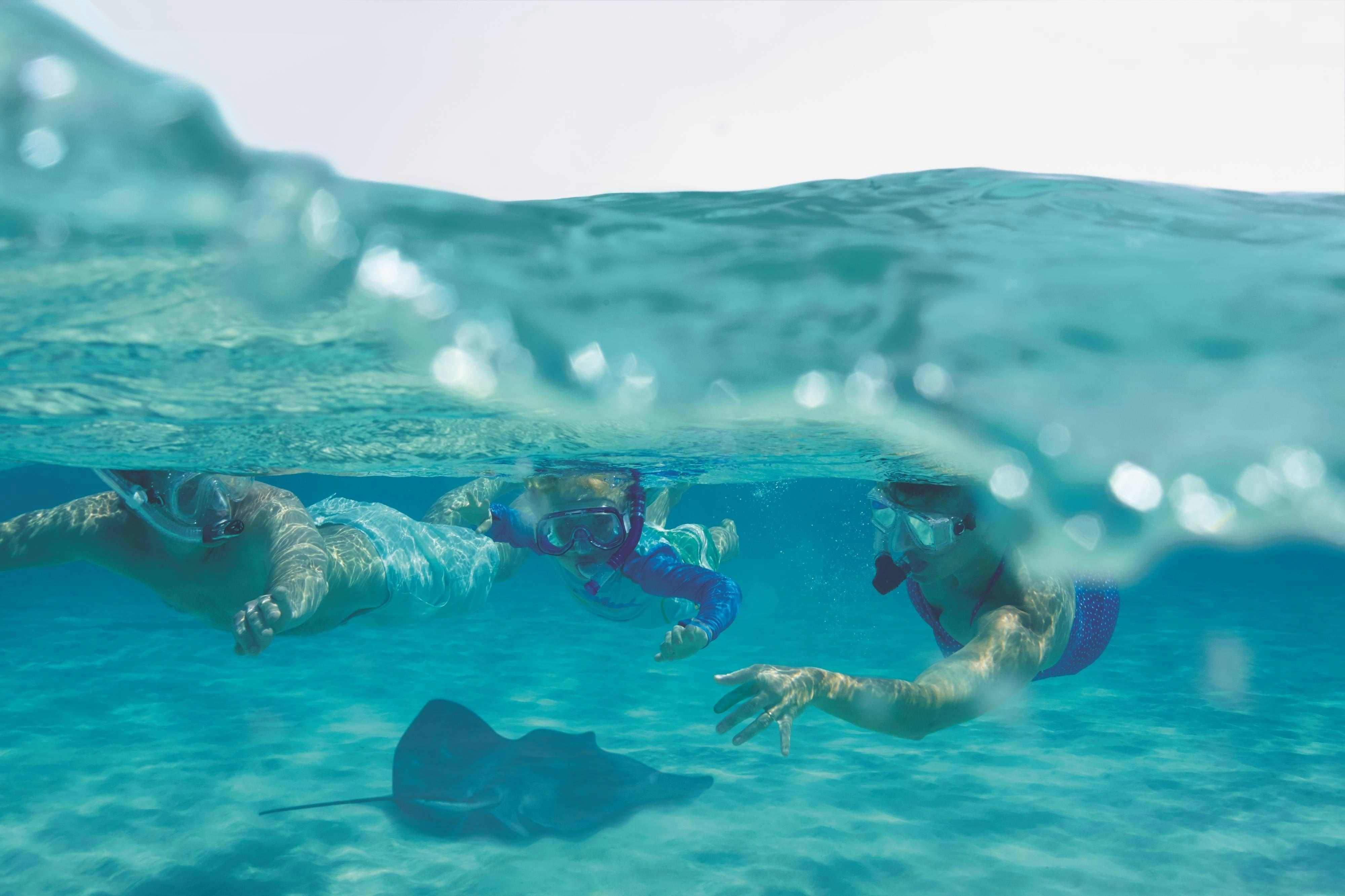The Ritz Carlton Grand Cayman 25/26