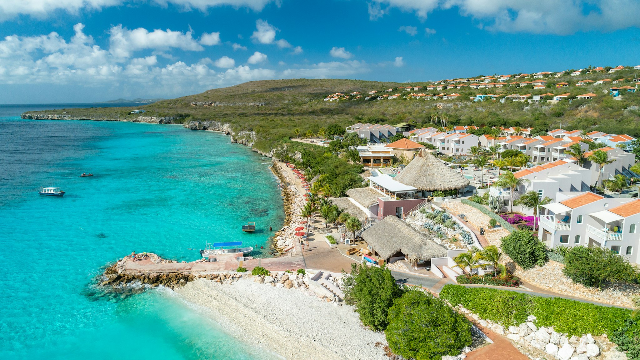 Coral Estate Luxury Resort 41/50