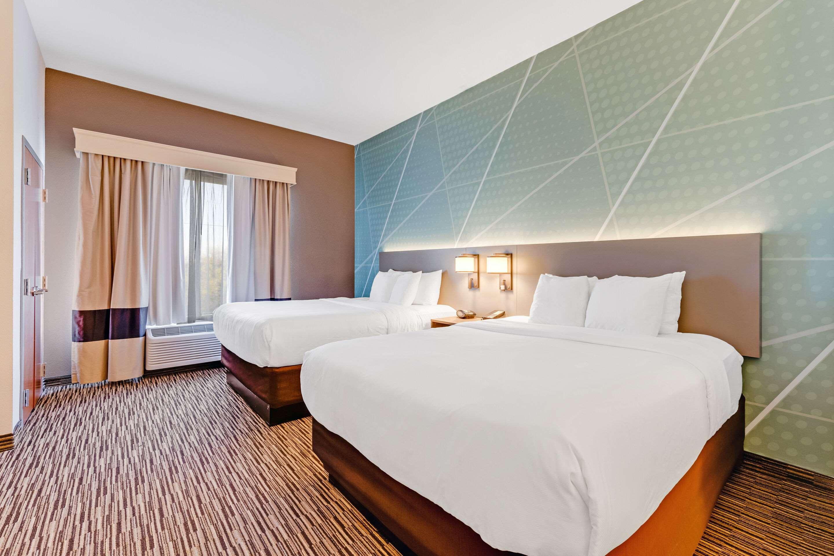 SUITE, KING BED