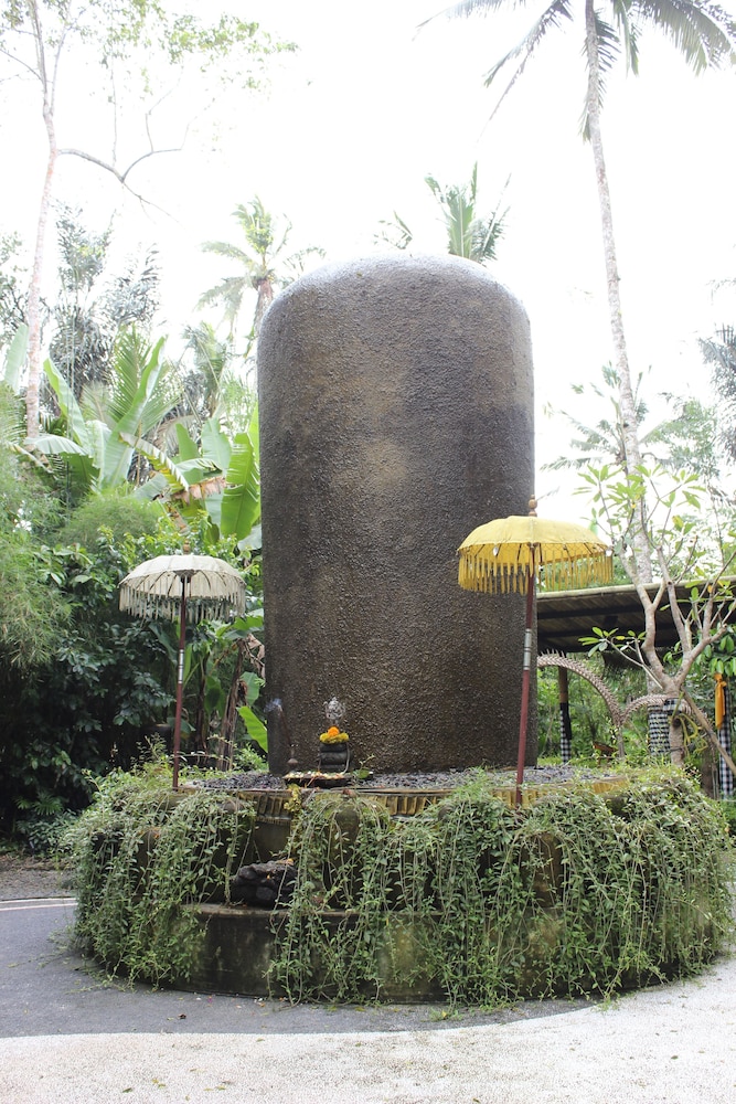The Jungle Pots 2/50