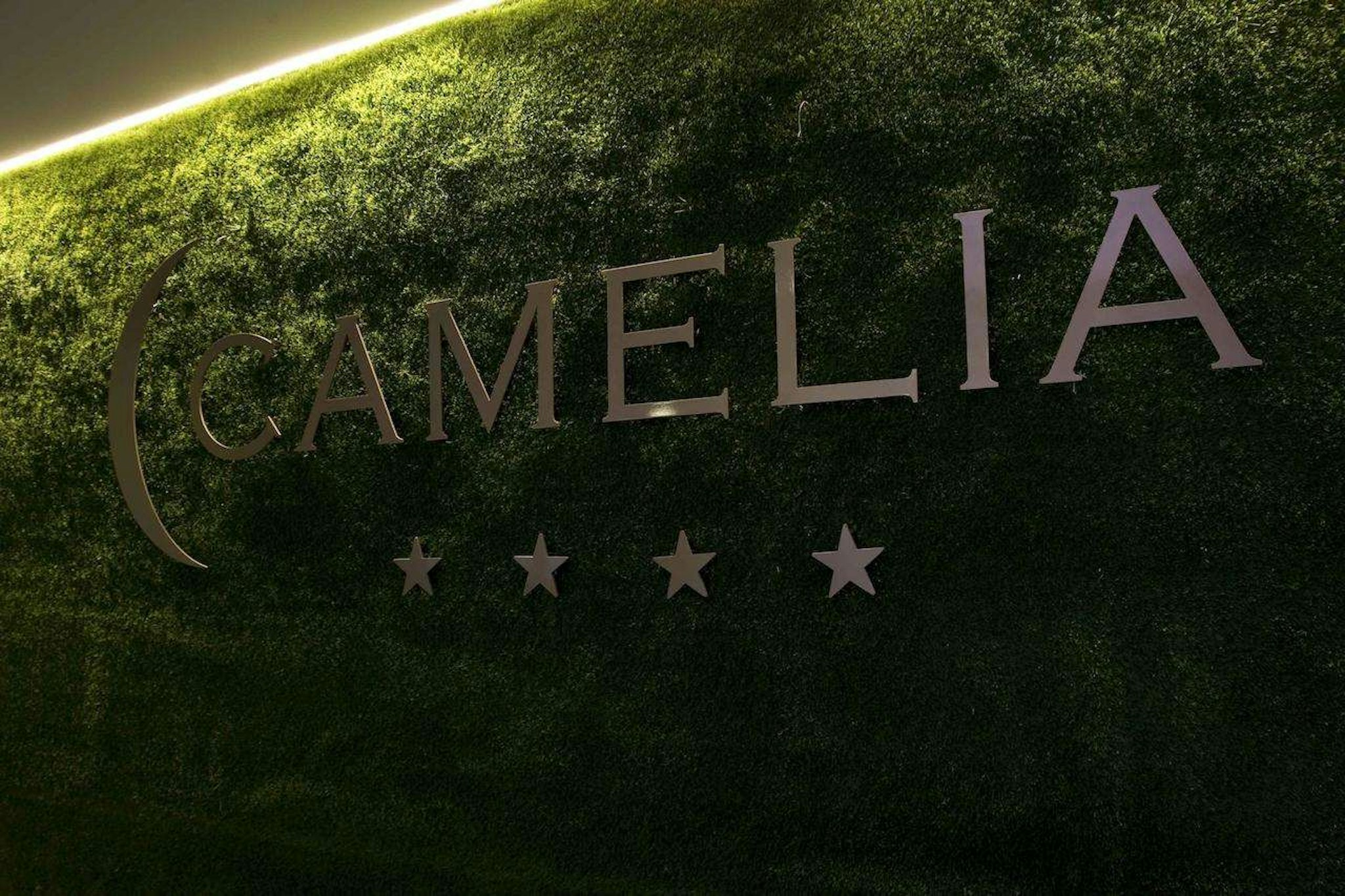 Hotel Camelia 14/18