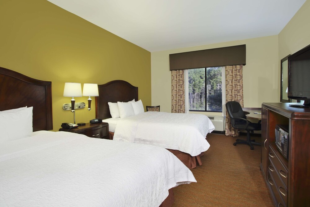 Hampton Inn Suites Conroe I 45 North 13/36
