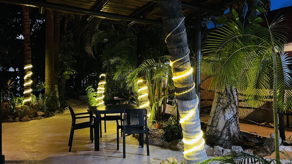 HOTEL PLAYA DEL KARMA 42/54