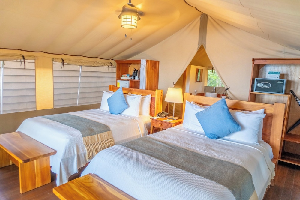FAMILY, TENT, SUITE