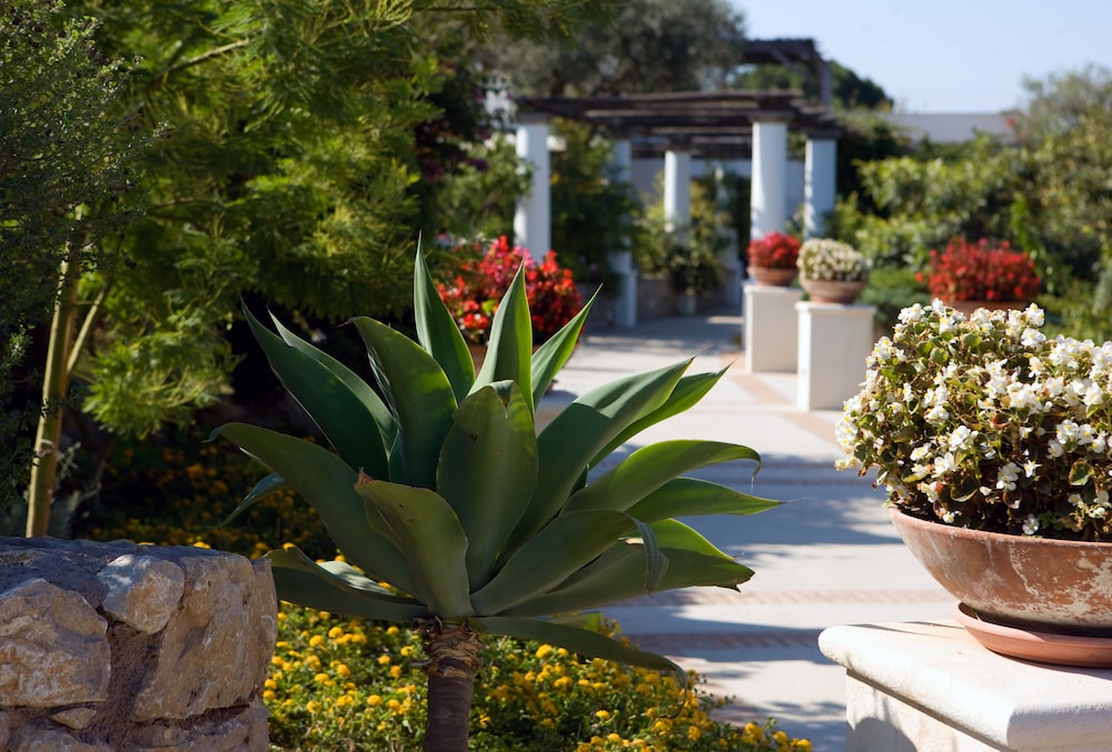 Hotel Al Mulino photo4