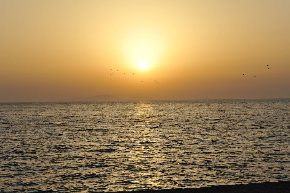 Heleni Beach Hotel 41/50