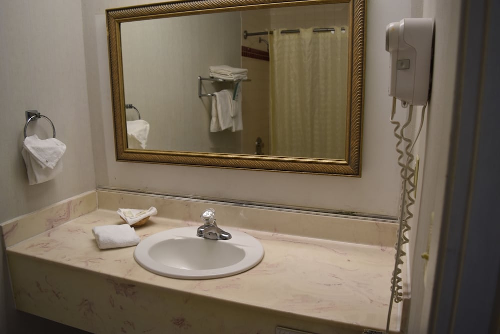 Old Town Western Inn & Suites 22/71