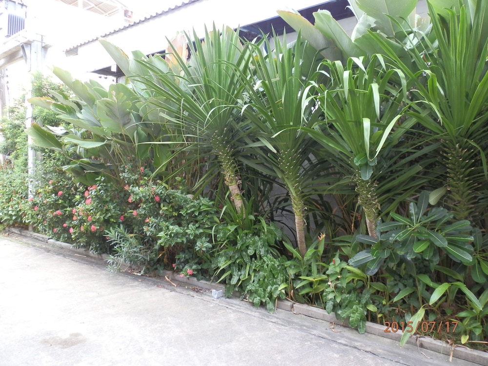 Sandy Serviced Apartment 53/62