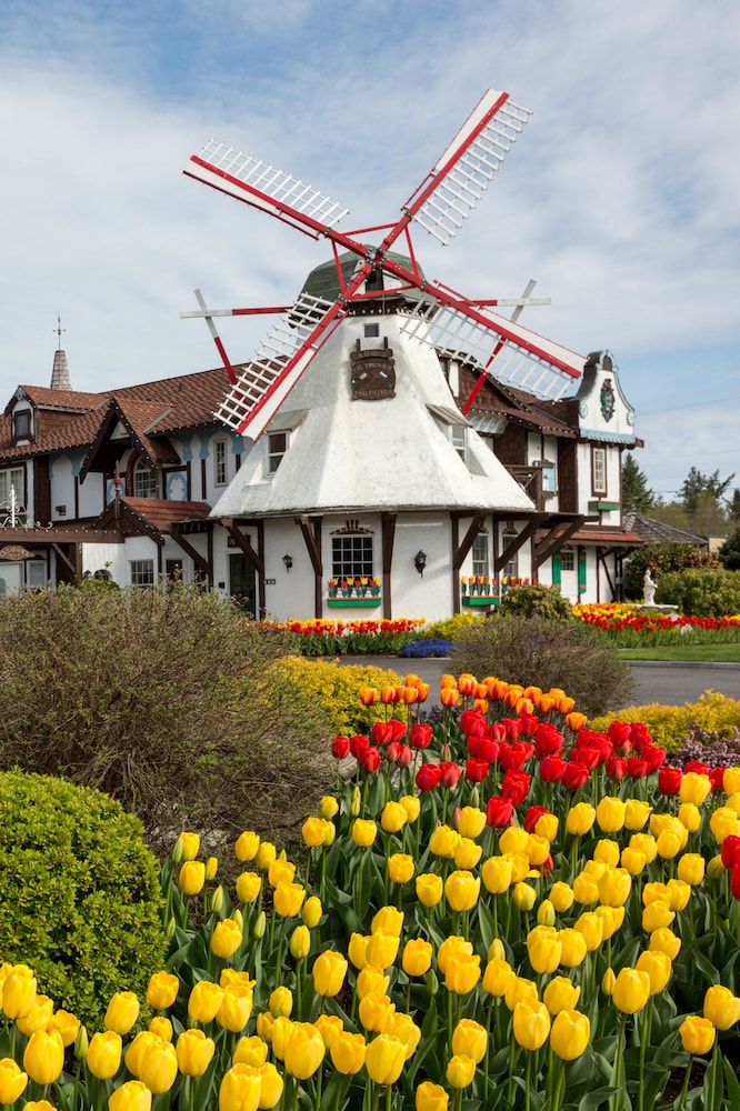 Auld Holland Inn 54/60