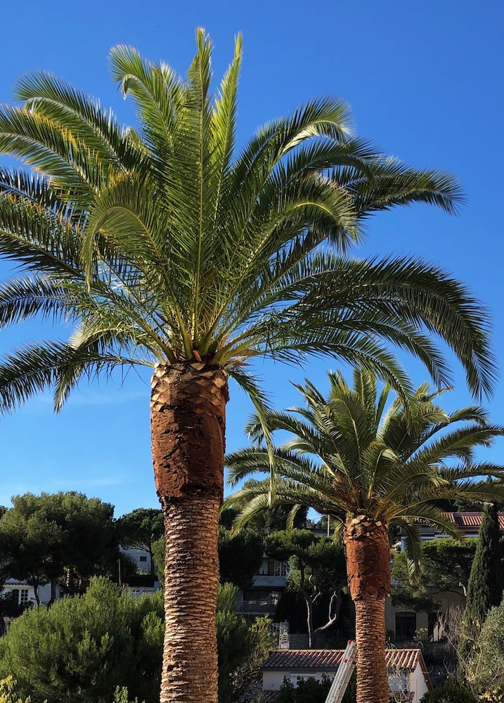 The Address Cassis 28/40