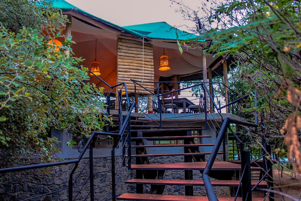 Flameback Eco Lodge 6/61