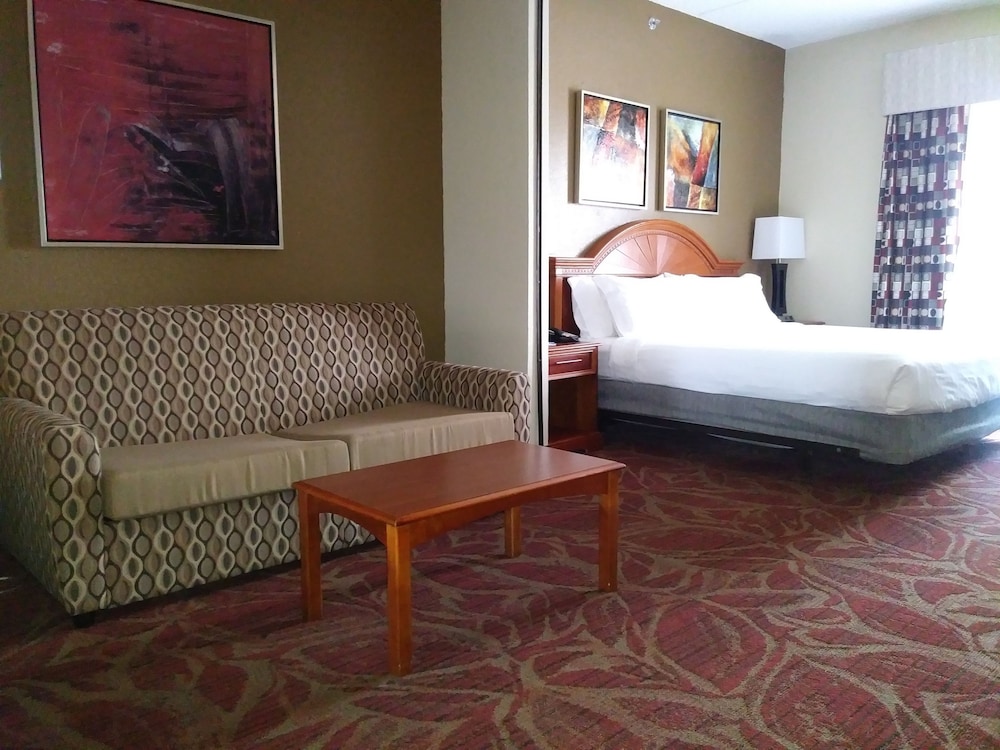 Holiday Inn Express Hotel And Suites Orange City 26/63
