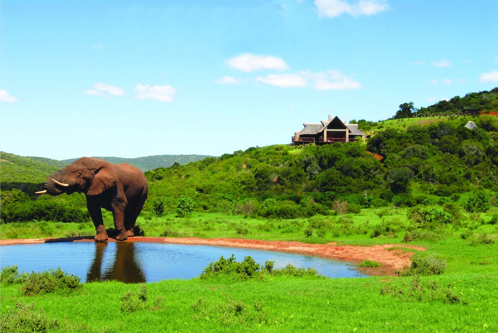 Hopewell Private Game Reserve 39/50