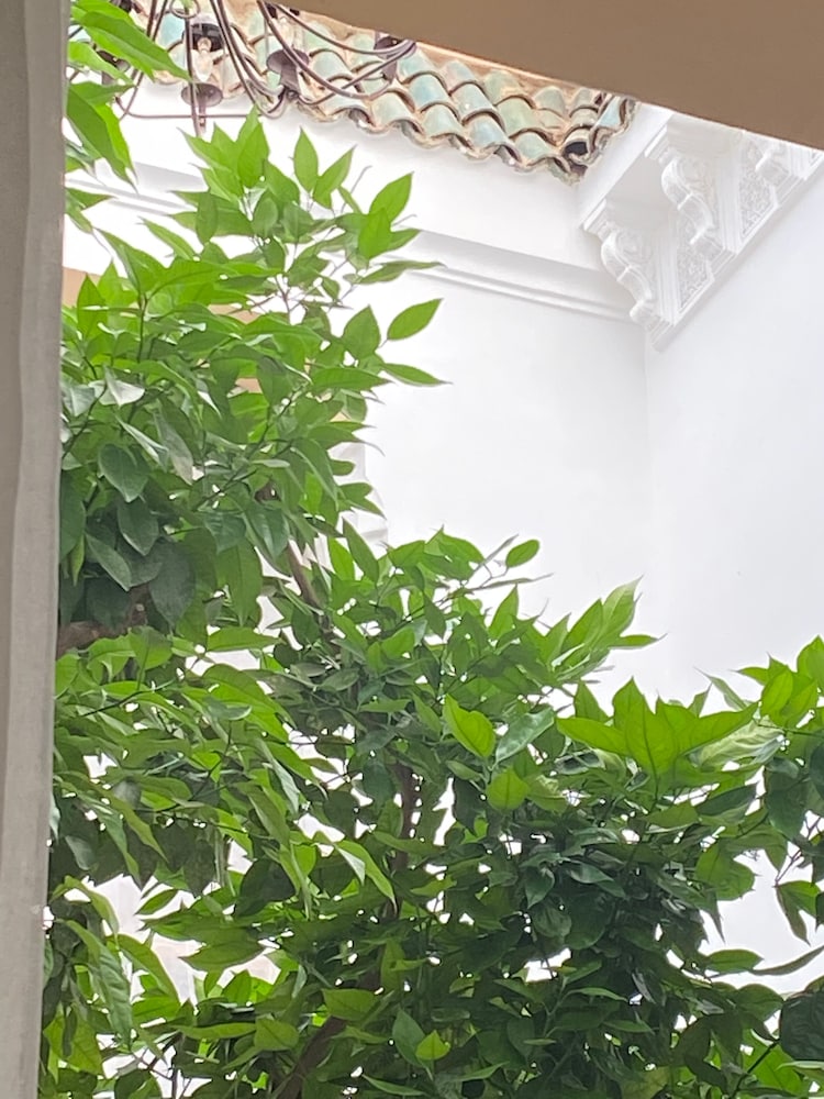 Riad Les Orangers D'Alilia 50/55
