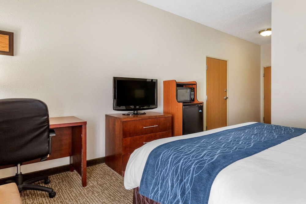 Comfort Inn Downtown University Area 8/37