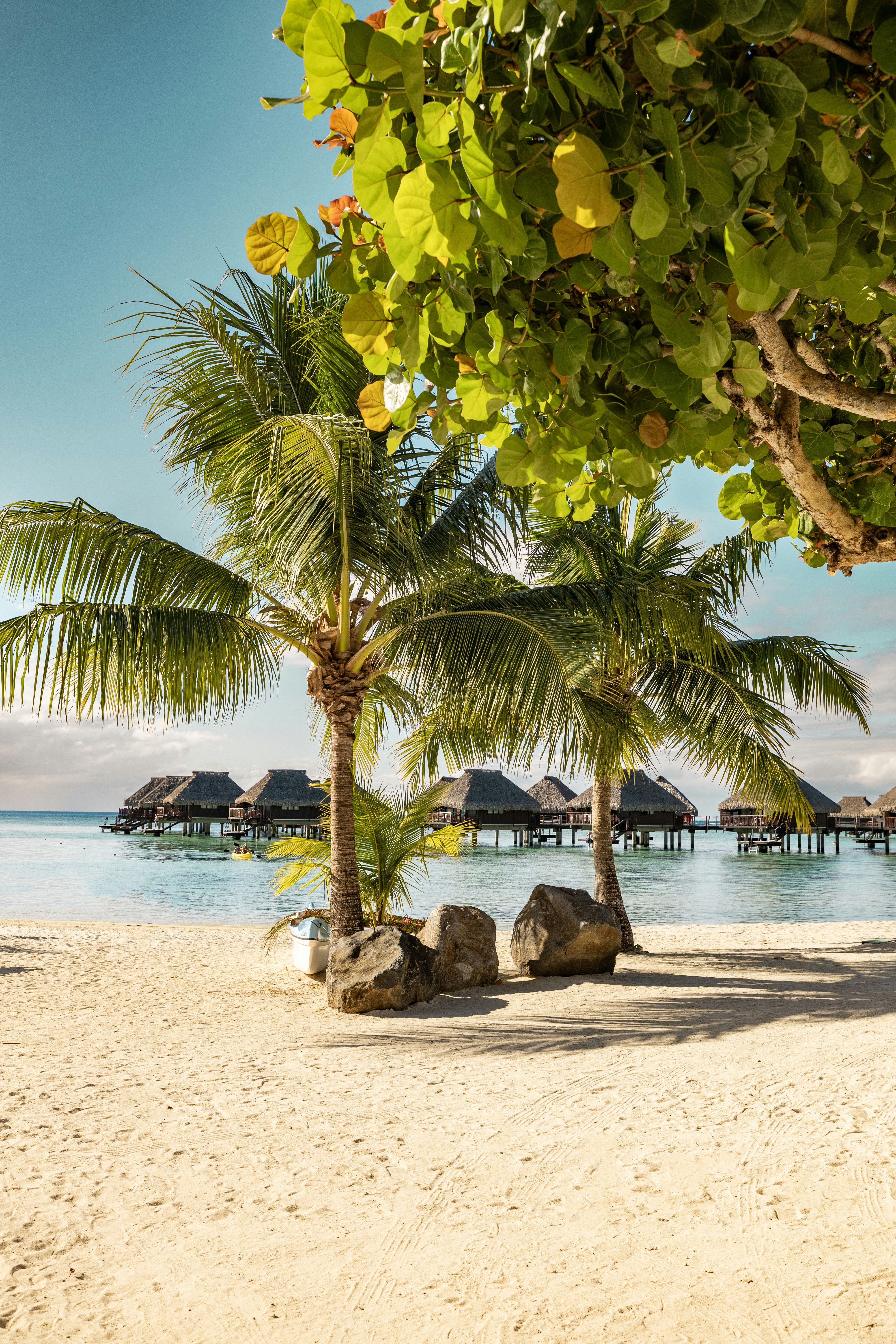 Hilton Moorea Lagoon Resort and Spa 63/81