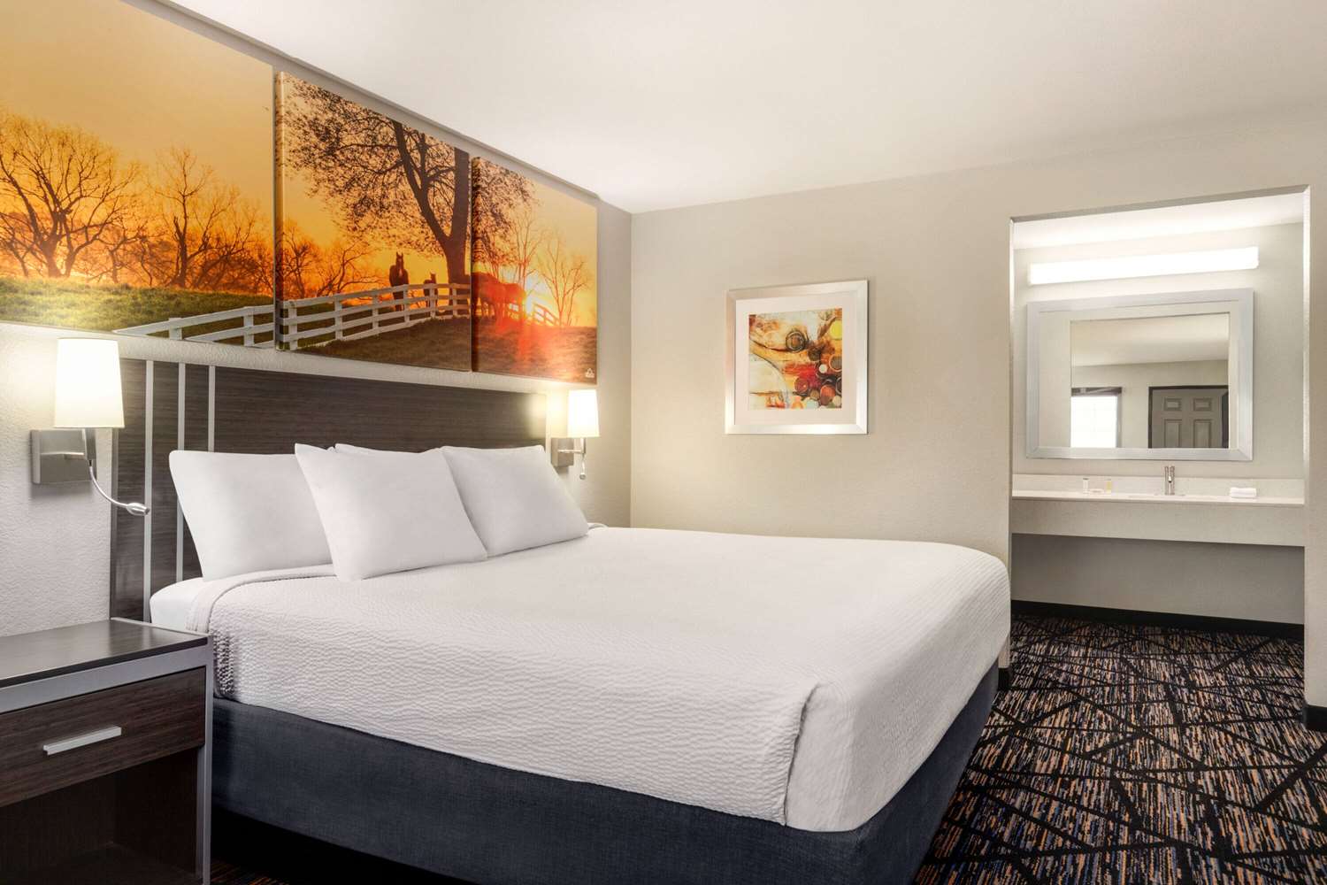 Days Inn By Wyndham San Antonio Near Fiesta Park 5/36