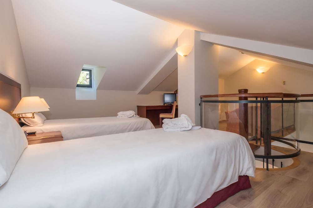 Spa Termes Carlemany Hotel 12/50