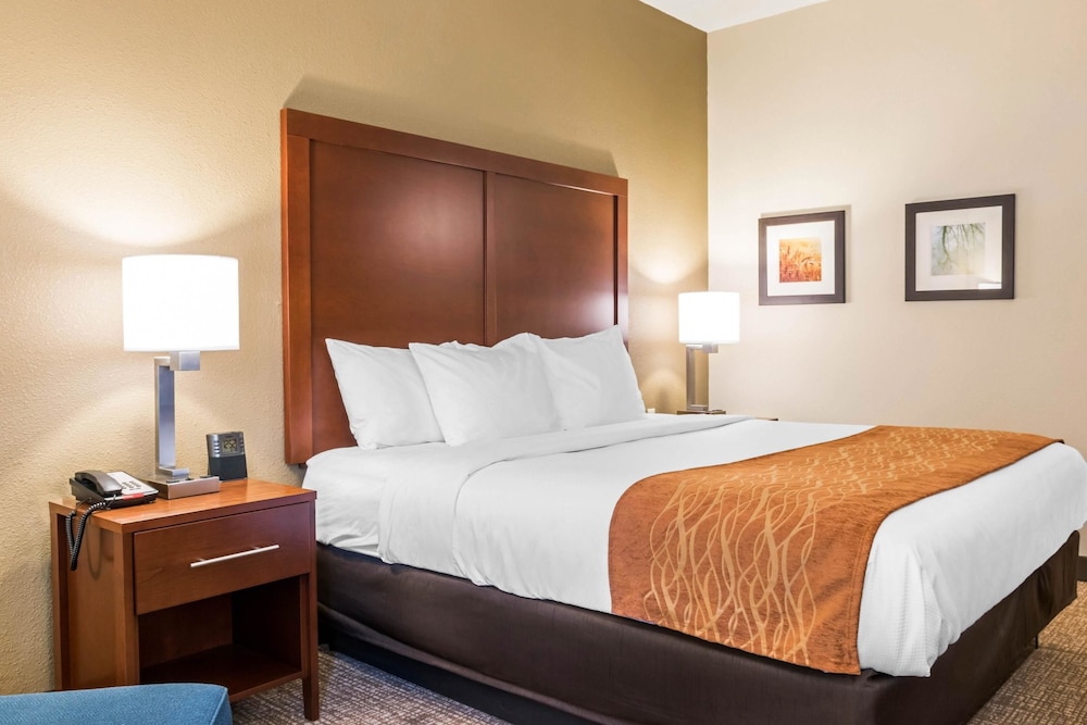 Comfort Inn Chambersburg North 14/62