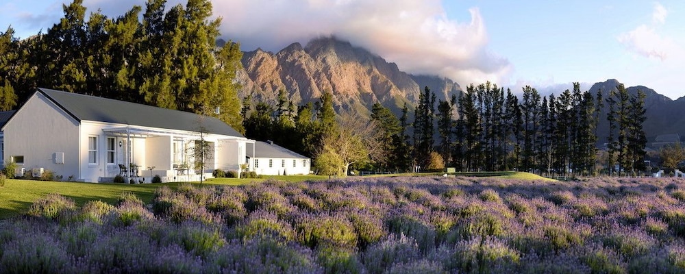 Lavender Farm Guest House 22/31
