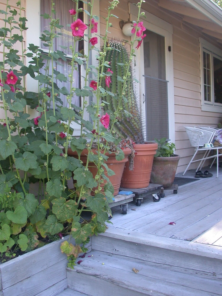 Hollyhock Country House 1/11