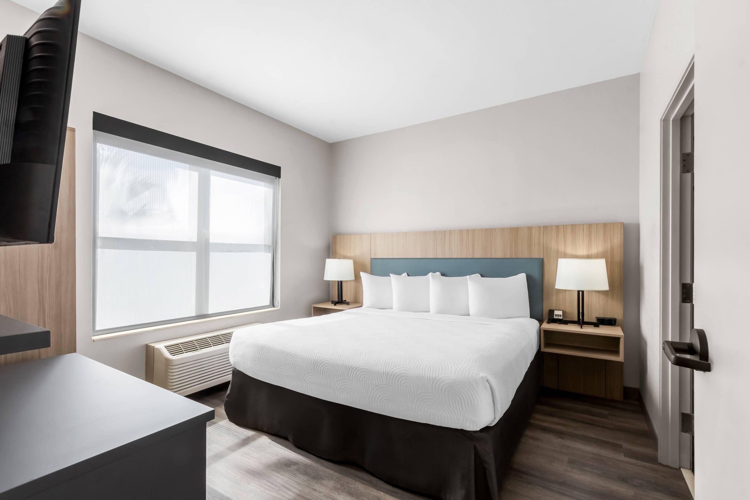 Suite, King Bed
