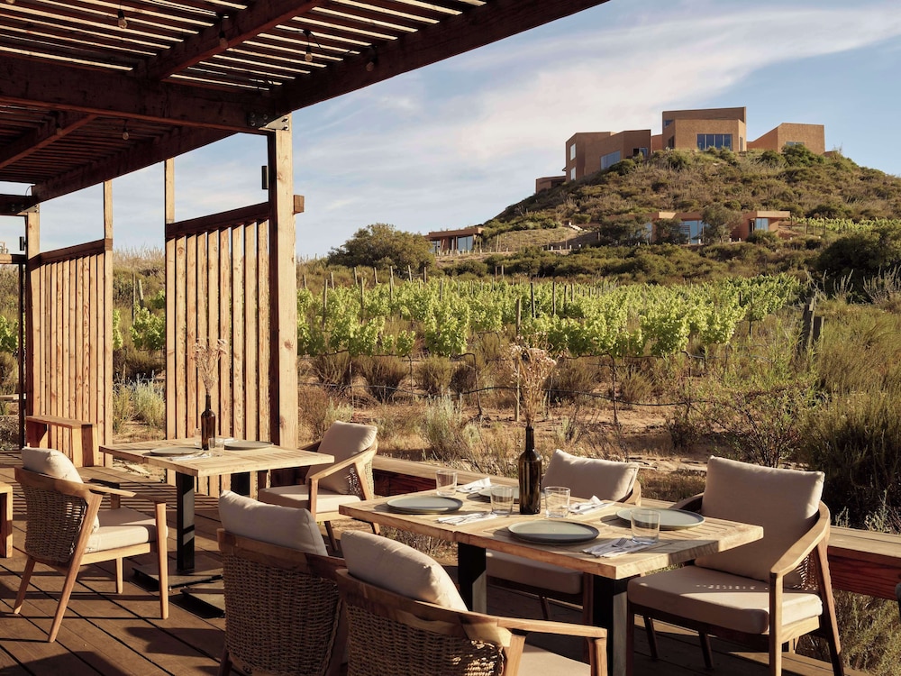 Banyan Tree Veya Valle de Guadalupe 77/91