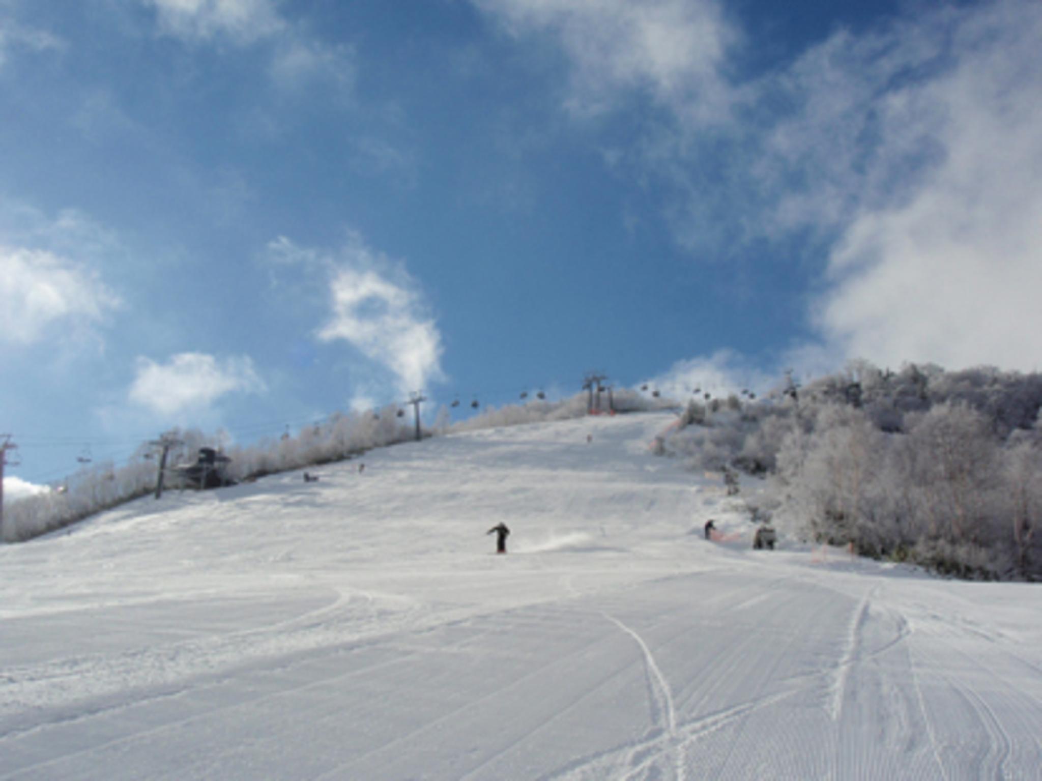 Yuzawa Ski House 38/39