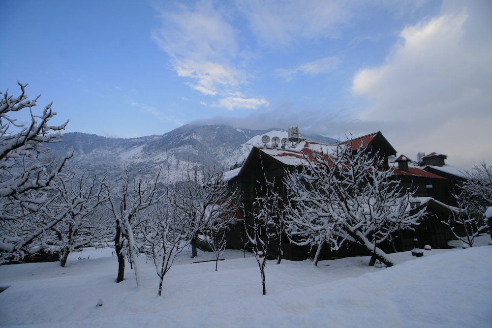 Shivadya Resort & Spa 25/50
