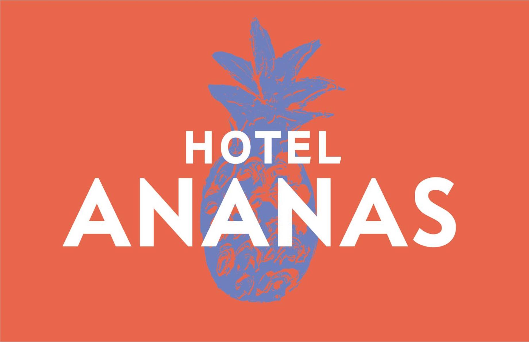 Hotel Boutique Ananas 2/50