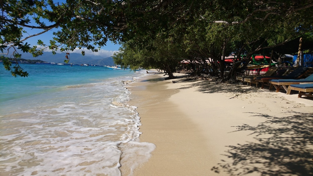 Coral Beach 2 Bungalow 38/50