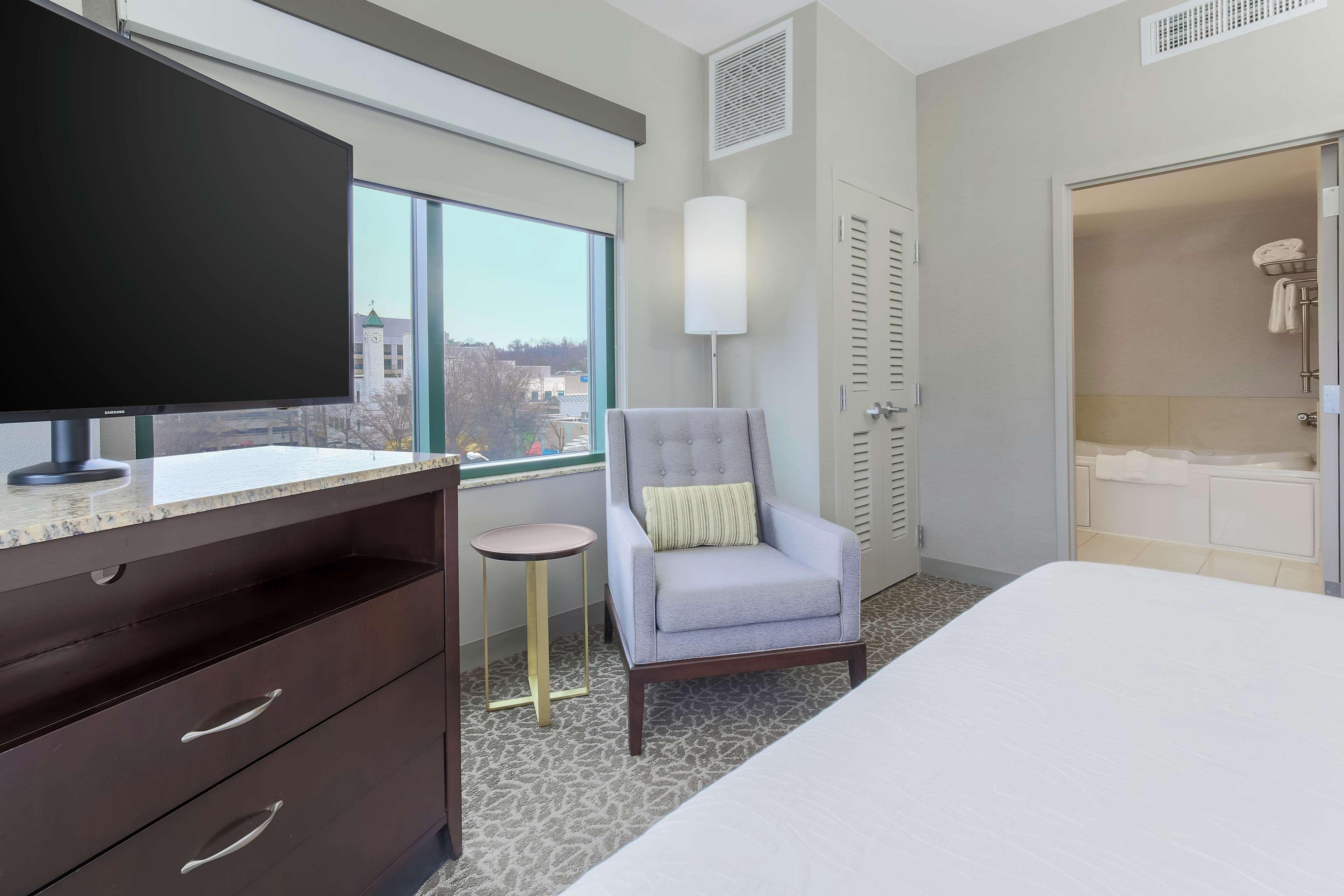 Suite, King Bed