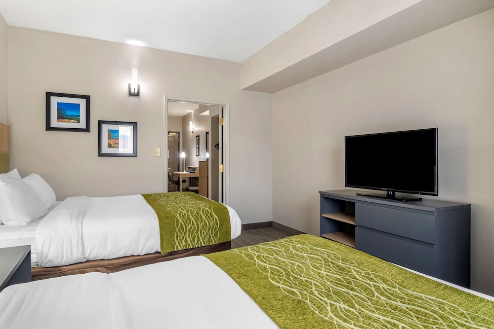 Comfort Inn and Suites Calhoun South 17/58