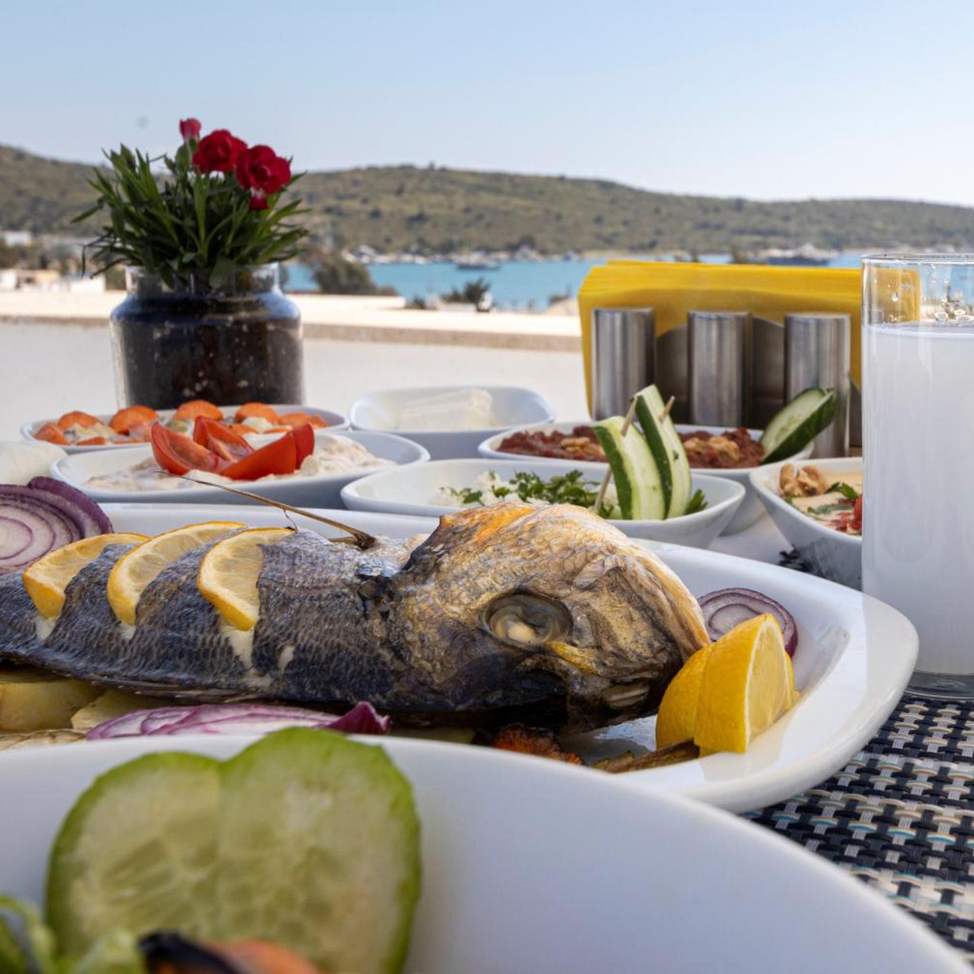 Hola Bodrum 28/32
